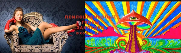 экстази Ладушкин